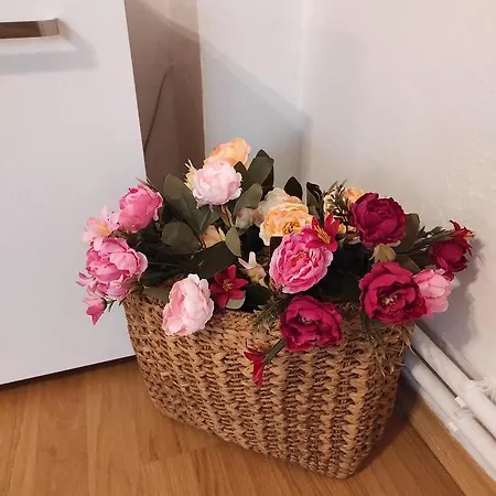 Apartment Welcome