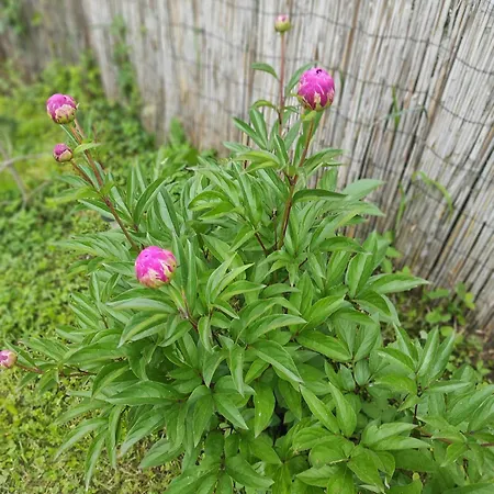Welcome Apartmán Tuzla